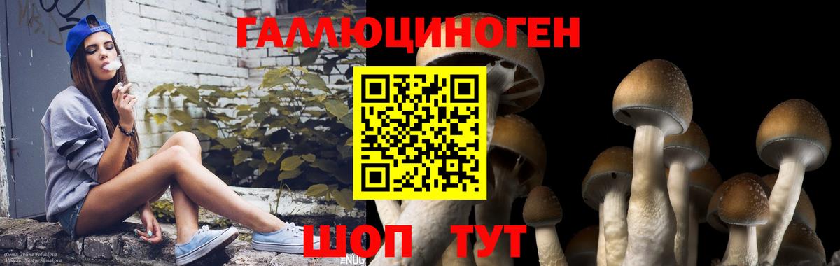 Галлюциногенные грибы ЛСД  Вход с VPN  Пугачёв 